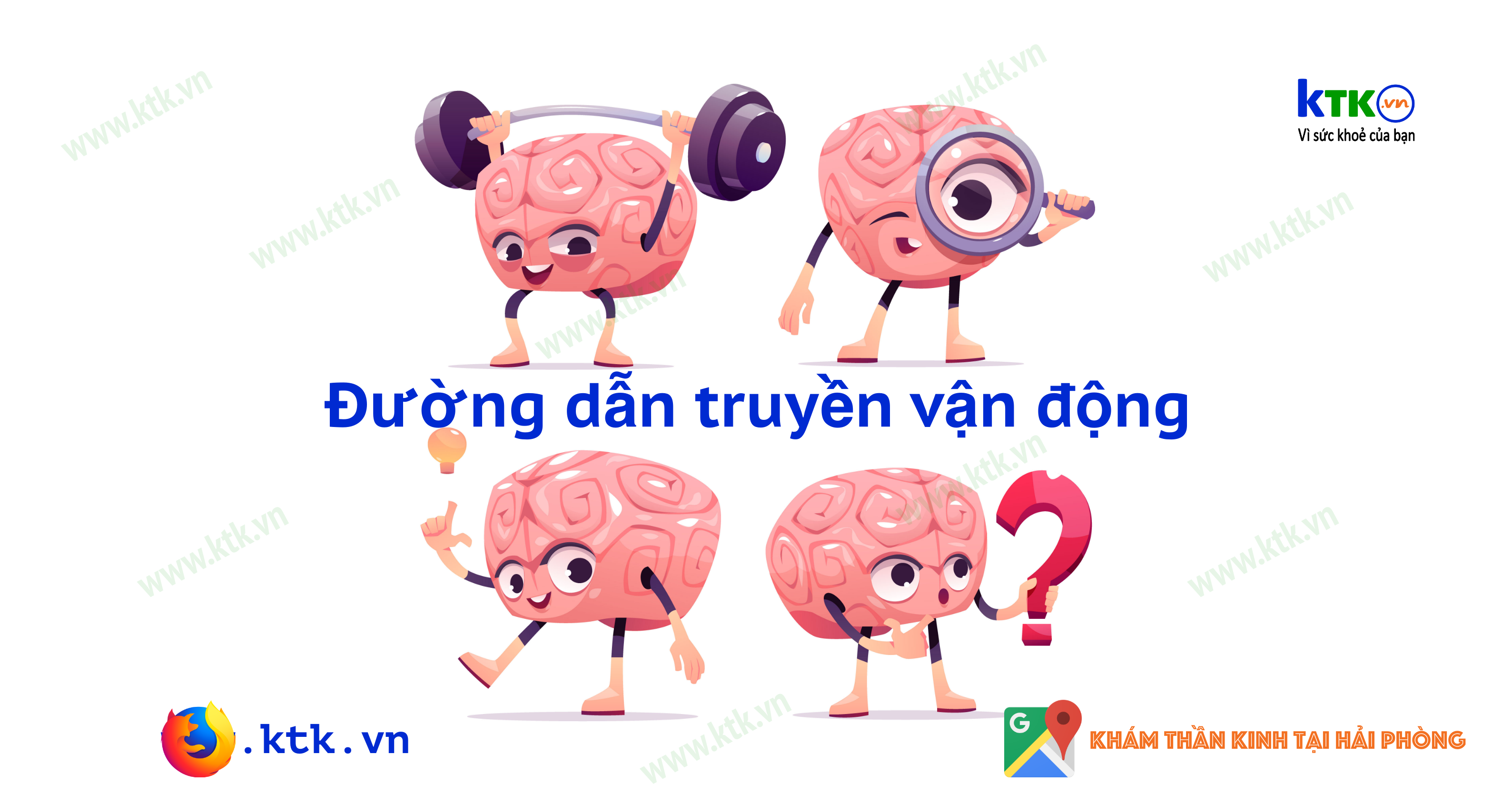 Đường dẫn truyền vận động. 